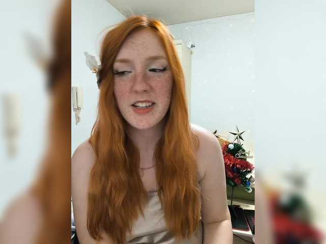 AmaryllisFox webcam