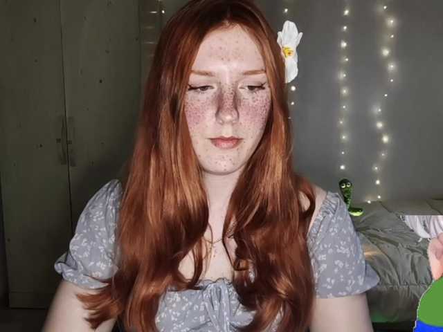  AmaryllisFox chat room