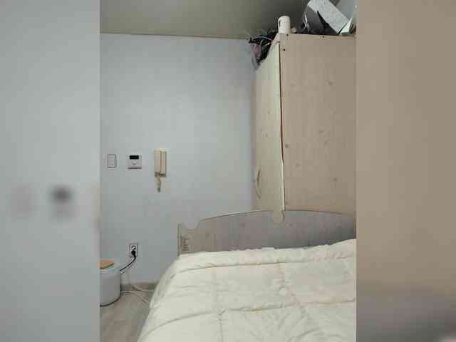 AmaryllisFox Live Webcam on BongaCams