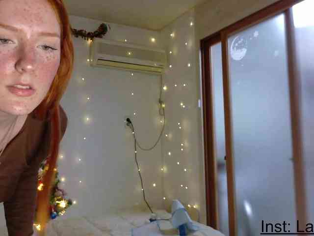 AmaryllisFox webcam