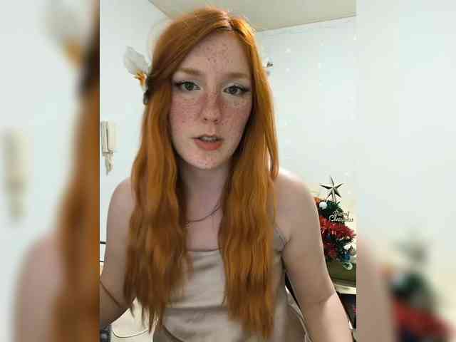 AmaryllisFox AmaryllisFox