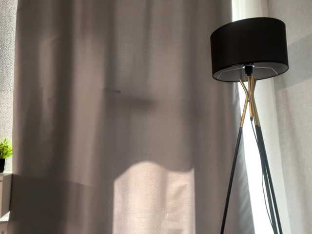 DeberaWarsham's BongaCams show and profile