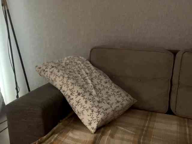 DeberaWarsham webcam