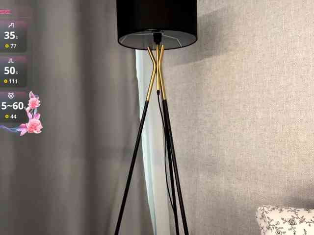 DeberaWarsham webcam