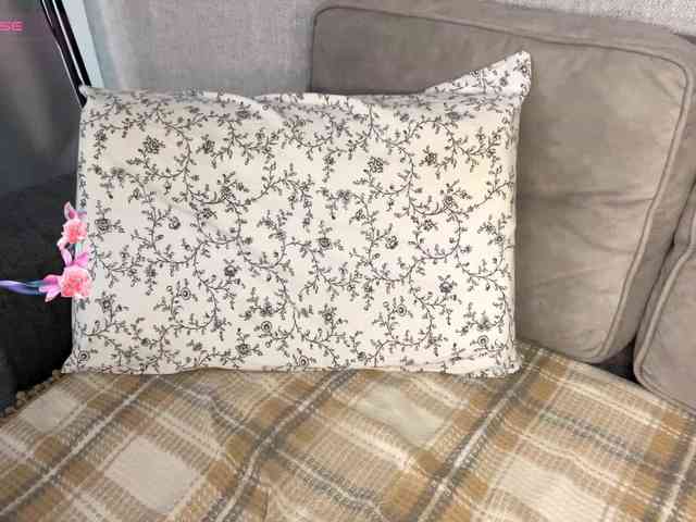 DeberaWarsham webcam