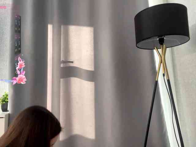 DeberaWarsham webcam