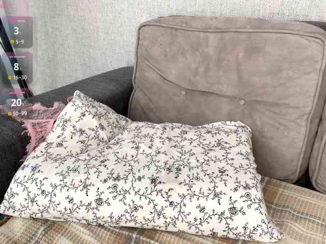 DeberaWarsham webcam