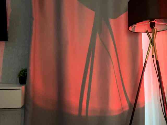 DeberaWarsham webcam