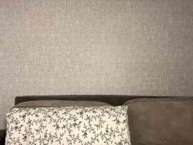 DeberaWarsham webcam