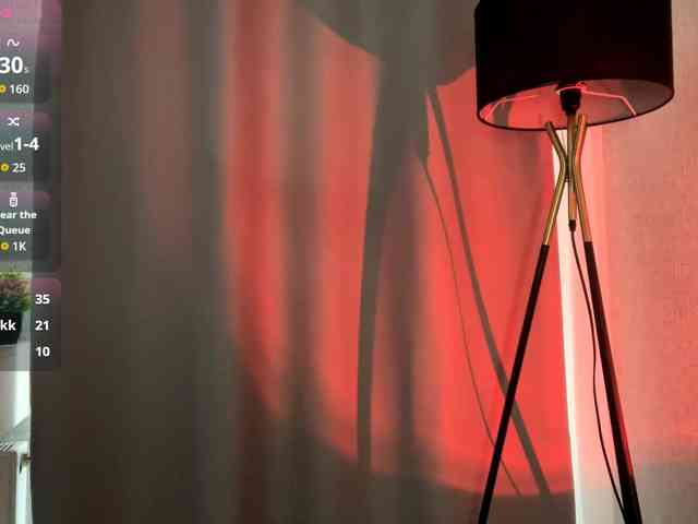 DeberaWarsham webcam