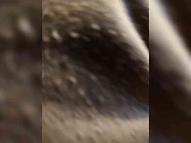 napalony85 napalony85