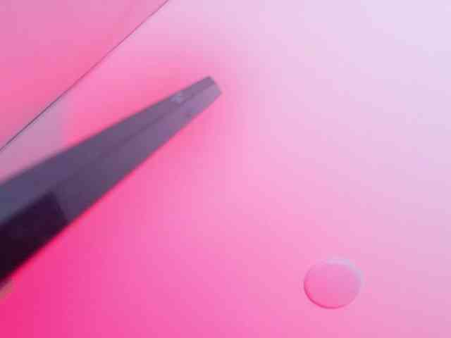 Tom-Muscle Tom-Muscle