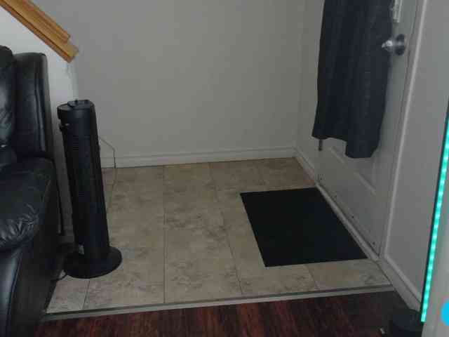 thekodyy Live Webcam on BongaCams