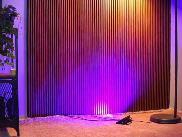 RavennaDArcy – webcam model profile photo