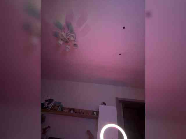 VIP17CoupleDream webcam