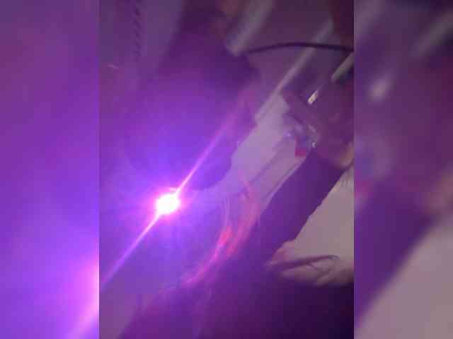 VIP17CoupleDream webcam