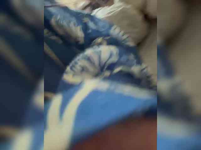 VIP17CoupleDream VIP17CoupleDream