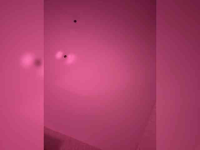 VIP17CoupleDream webcam