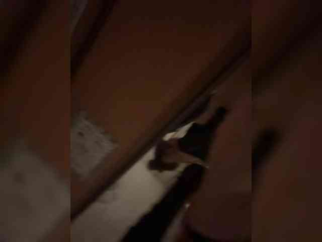 VIP17CoupleDream Live Webcam on BongaCams