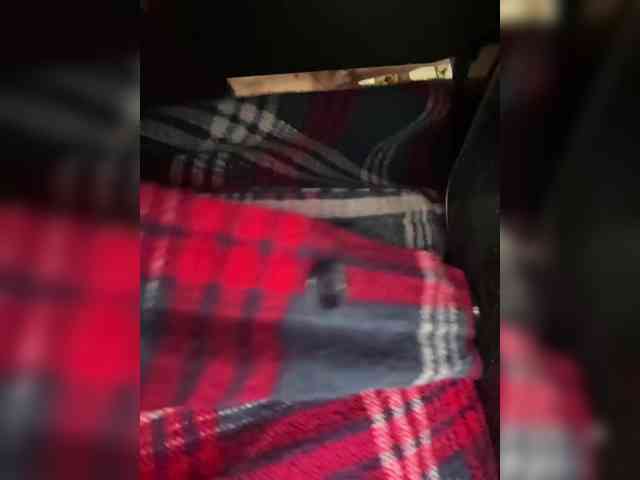 VIP17CoupleDream webcam