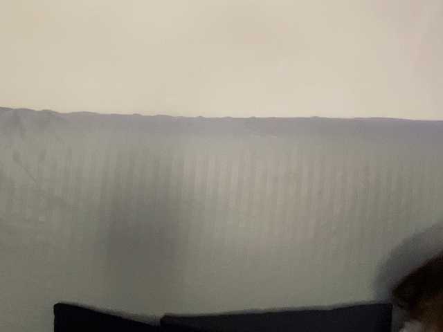 VikaSpace's BongaCams show and profile