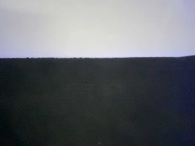 VikaSpace's BongaCams profile