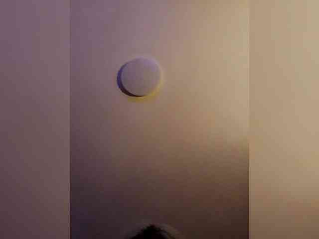 Alessandro-Armani1 Alessandro-Armani1