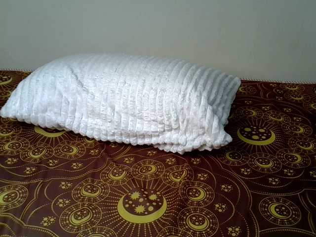  PetiteDaisy chat room