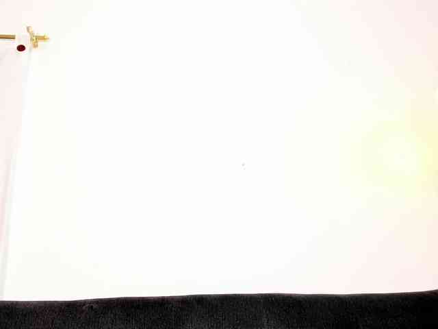 CherryBunny CherryBunny