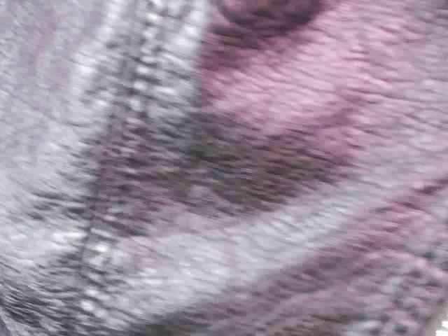 Nattassha-- Nattassha--