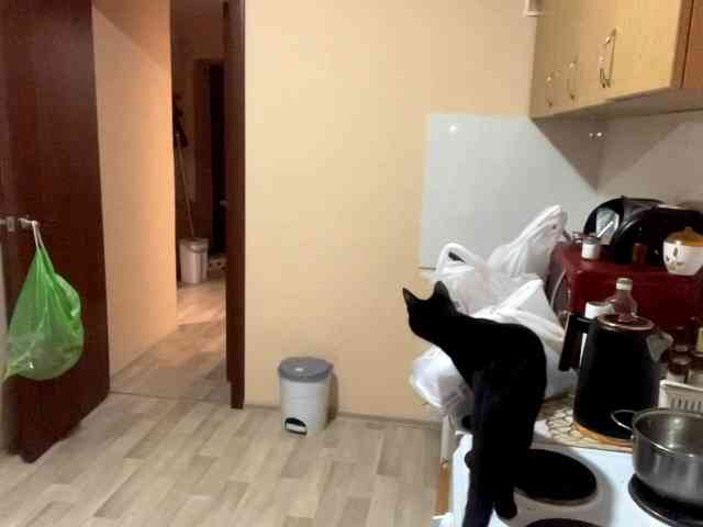 MerilynGerstner webcam