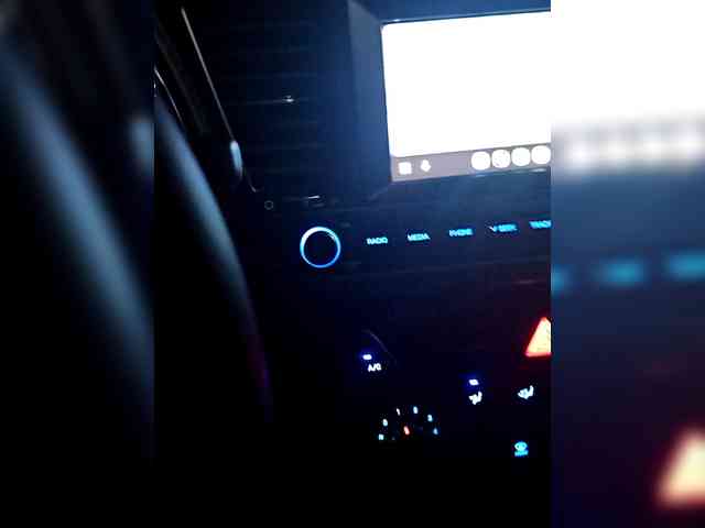 LatinVelvetBear-1 LatinVelvetBear-1