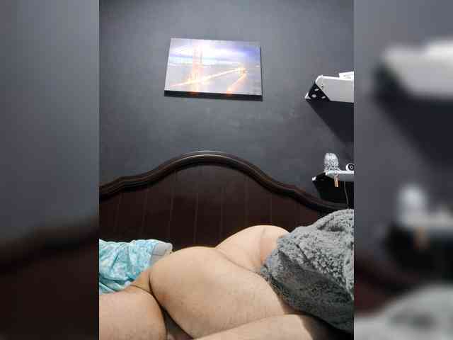 LatinVelvetBear-1 LatinVelvetBear-1