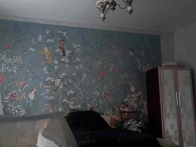 VinitaZaccagnino webcam