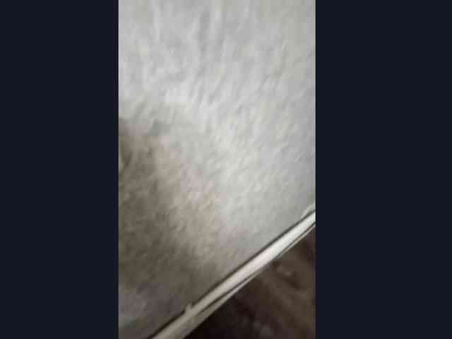 VinitaZaccagnino webcam