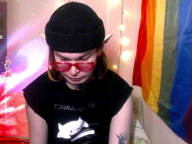 StevensPirs1 StevensPirs1