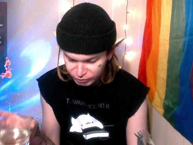 StevensPirs1 StevensPirs1