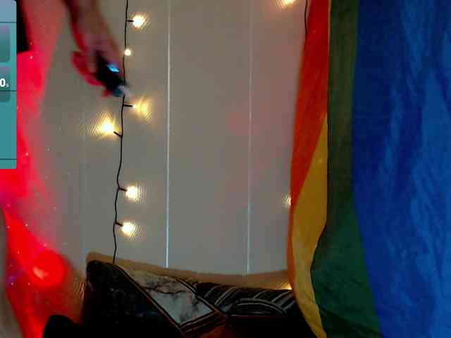 StevensPirs1 StevensPirs1