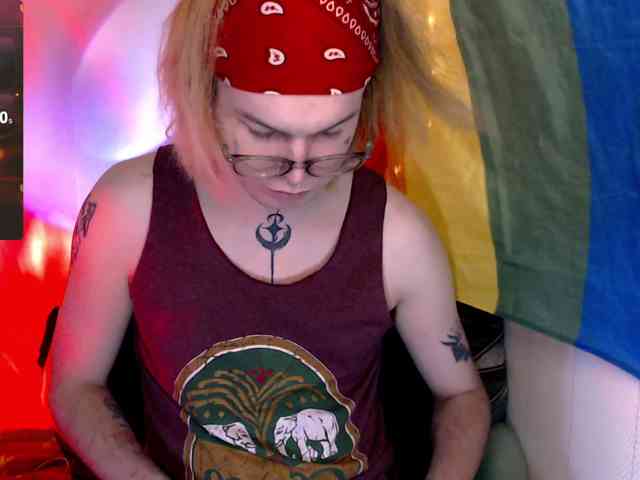 StevensPirs1 StevensPirs1