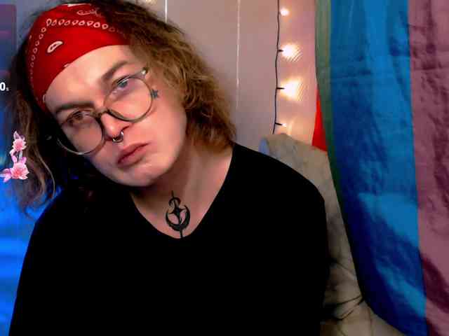 StevensPirs1 StevensPirs1