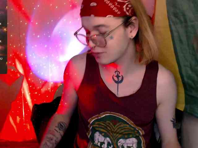 StevensPirs1 StevensPirs1