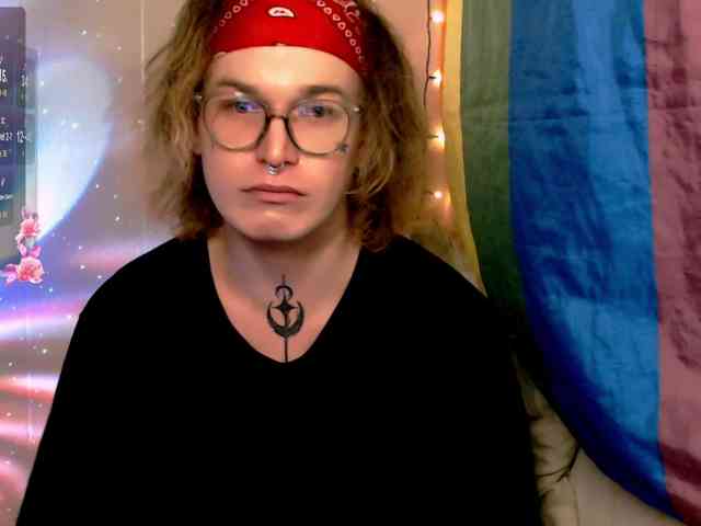 StevensPirs1 StevensPirs1