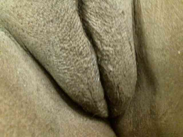 Bigtitscassie Live Webcam on BongaCams