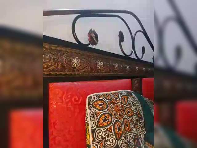 AlinaPopy's BongaCams show and profile