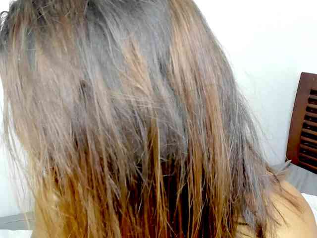 vanessaasquirt webcam