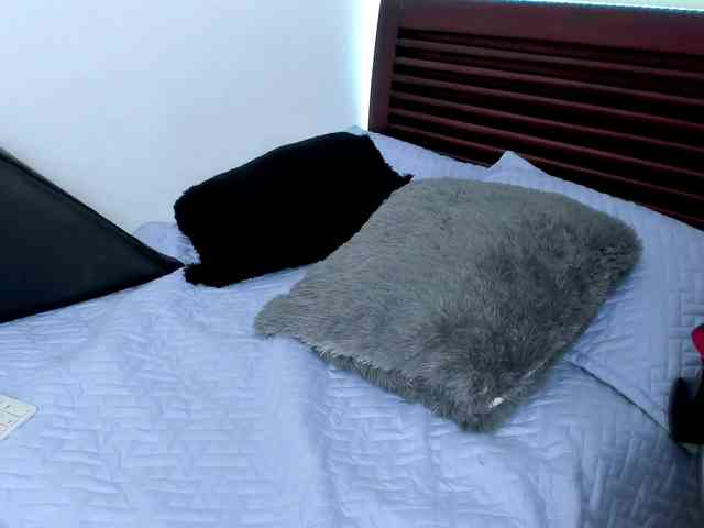 vanessaasquirt webcam