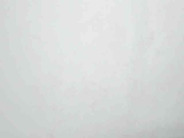 vanessaasquirt webcam