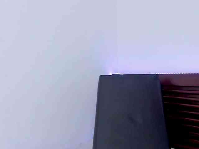 vanessaasquirt webcam