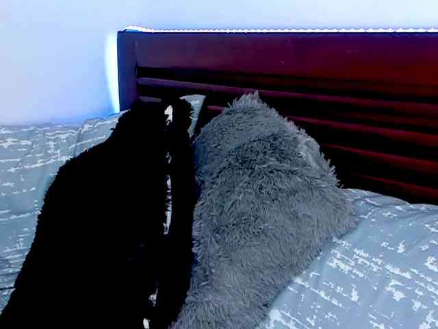 vanessaasquirt webcam