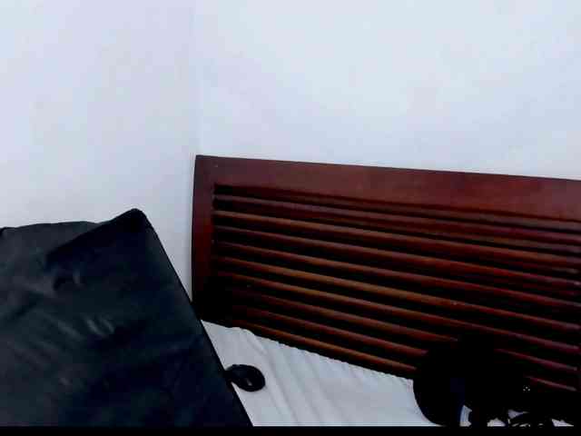 vanessaasquirt webcam